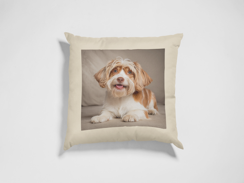 Personalisierbares Premium Kissen