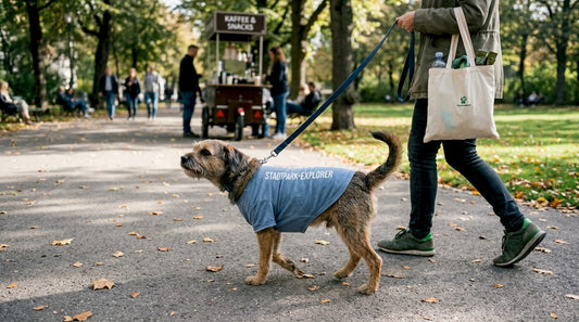 Ein Hund spaziert mit einem lustigen Sprüche-T-Shirt durch den Stadtpark.